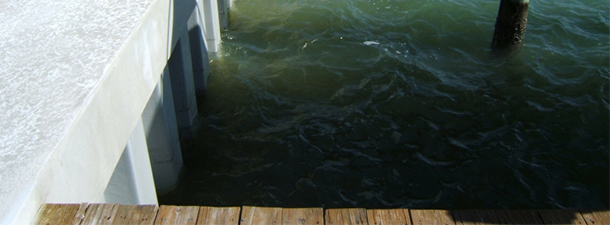 Vinyl and Concrete Seawalls | Clearwater | Priority Marine